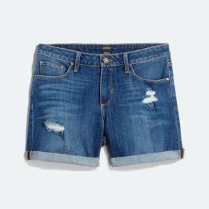 Distressed Stretch Jean Shorts